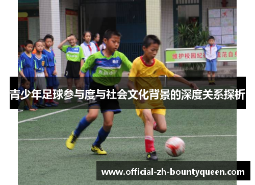 青少年足球参与度与社会文化背景的深度关系探析