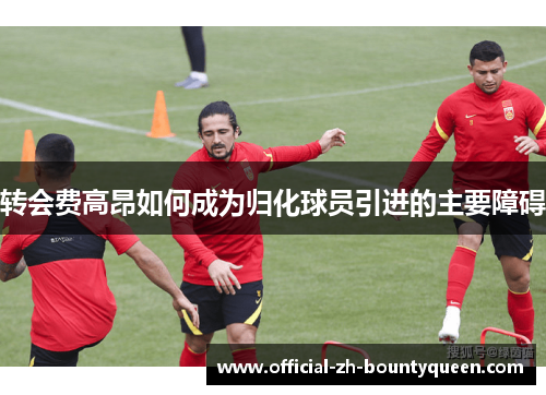 转会费高昂如何成为归化球员引进的主要障碍 转会费高昂如何成为归化球员引进的主要障碍